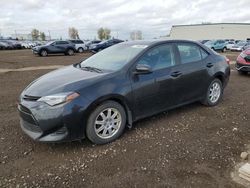 Toyota salvage cars for sale: 2017 Toyota Corolla L