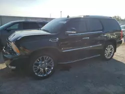 Salvage cars for sale at Dyer, IN auction: 2008 Cadillac Escalade Luxury