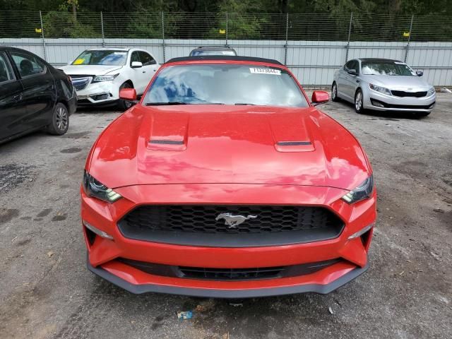 2019 Ford Mustang