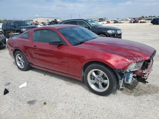 2014 Ford Mustang