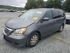 2010 Honda Odyssey EXL