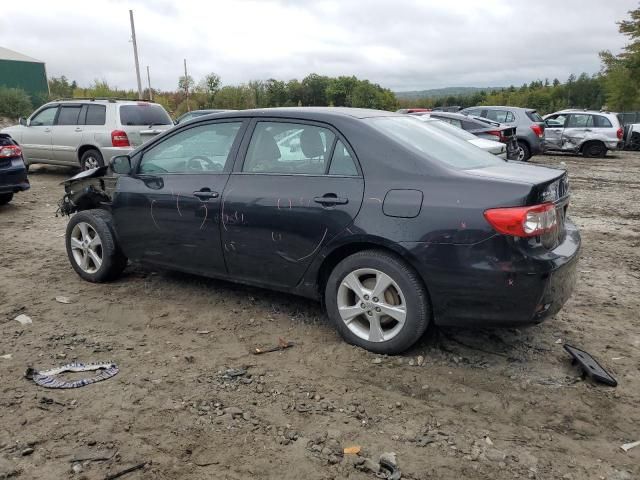 2011 Toyota Corolla Base