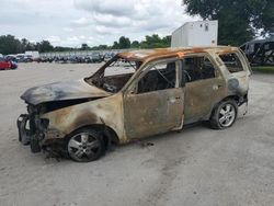 Salvage cars for sale at auction: 2009 Ford Escape XLS