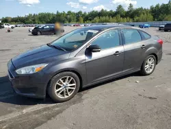 Ford Vehiculos salvage en venta: 2016 Ford Focus SE