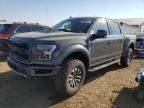 2020 Ford F150 Raptor