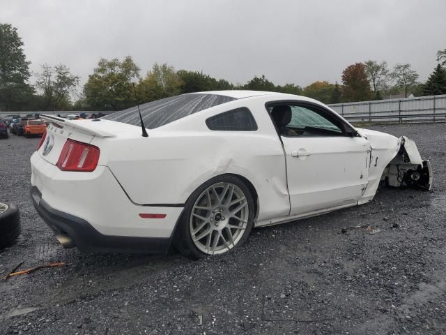 2012 Ford Mustang Shelby GT500