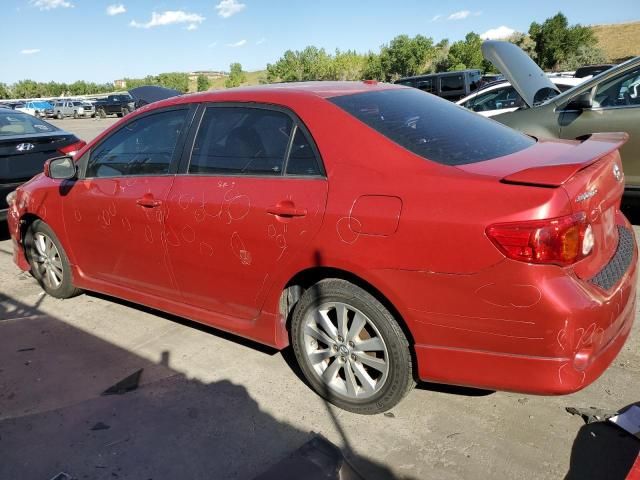 2010 Toyota Corolla Base