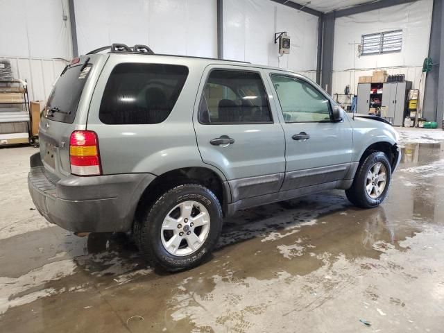 2006 Ford Escape XLT