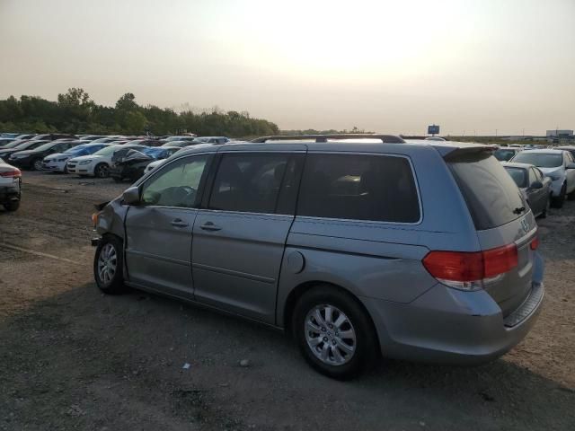 2010 Honda Odyssey EXL