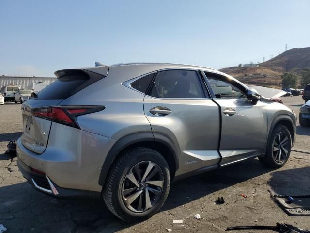 2020 Lexus NX 300H