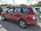 2010 Subaru Forester XS