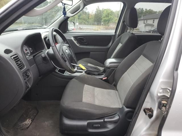 2007 Ford Escape XLT