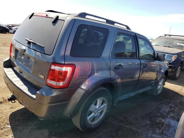 2010 Ford Escape XLT