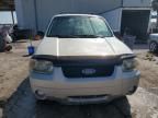 2007 Ford Escape XLT