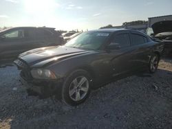 Salvage cars for sale at Wayland, MI auction: 2013 Dodge Charger SE