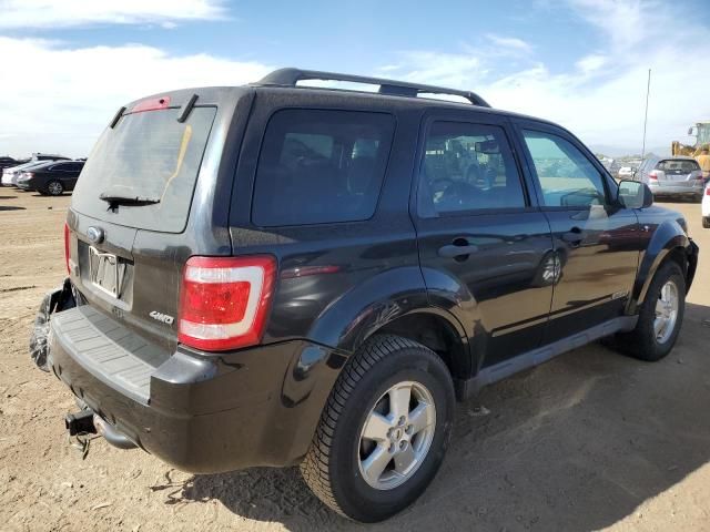 2008 Ford Escape XLT