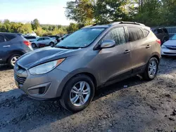 Hyundai salvage cars for sale: 2010 Hyundai Tucson GLS