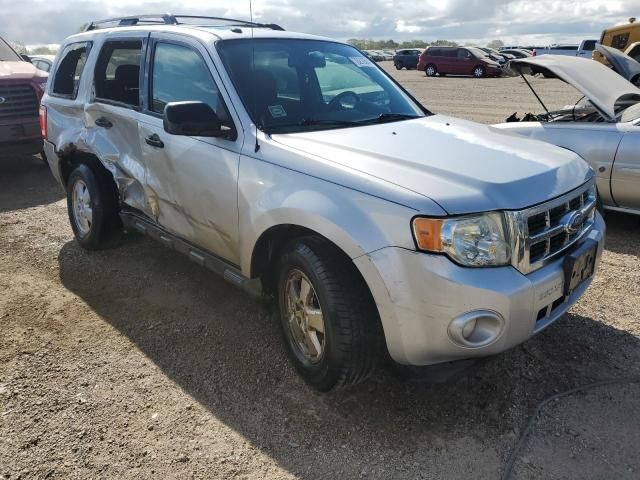 2009 Ford Escape XLT