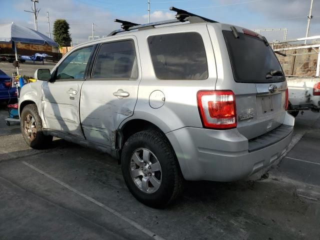 2011 Ford Escape Limited