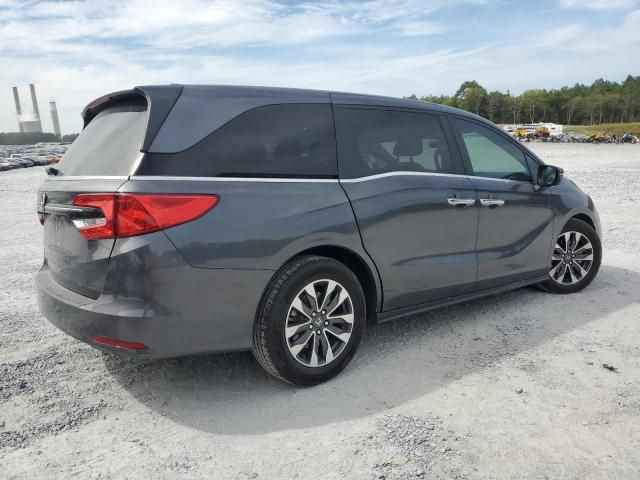 2023 Honda Odyssey EXL