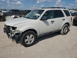 Ford Vehiculos salvage en venta: 2012 Ford Escape XLT