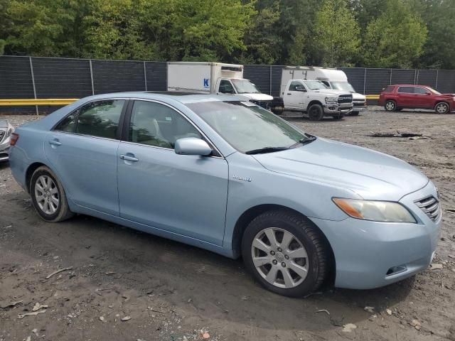 2009 Toyota Camry Hybrid