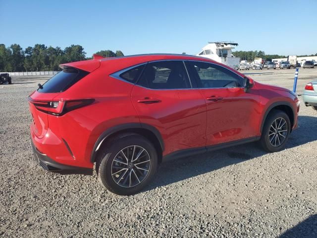 2025 Lexus NX 350H Base