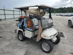 2013 Golf Cart Cart en venta en Apopka, FL