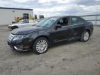 2012 Ford Fusion Hybrid