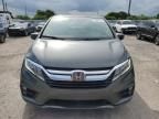 2019 Honda Odyssey EXL