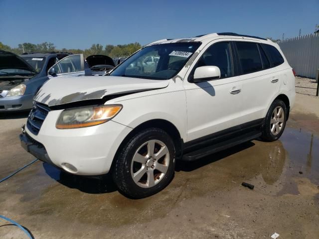 2009 Hyundai Santa FE SE