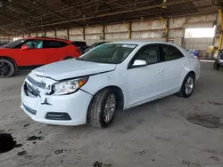 Salvage cars for sale at Phoenix, AZ auction: 2013 Chevrolet Malibu 1LT