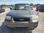 2005 Ford Escape Limited