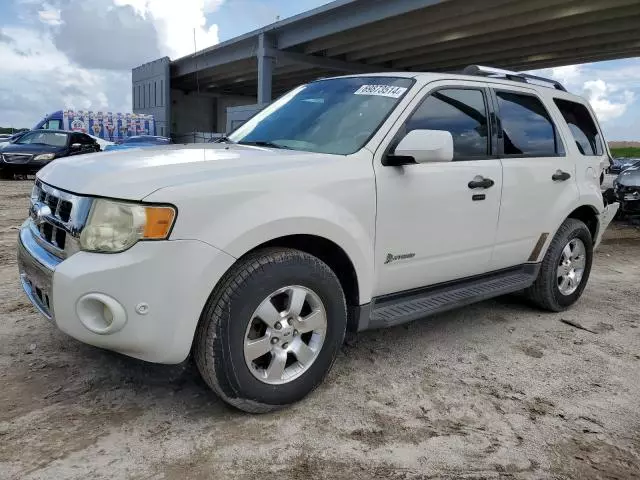 2011 Ford Escape Hybrid