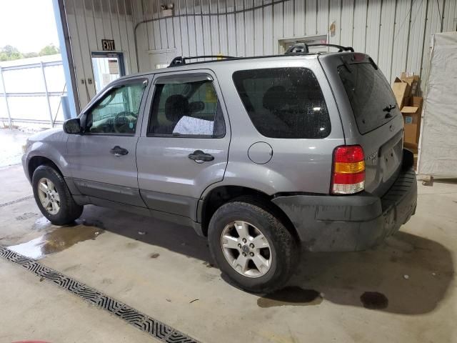 2007 Ford Escape XLT