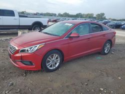 2017 Hyundai Sonata SE en venta en Kansas City, KS