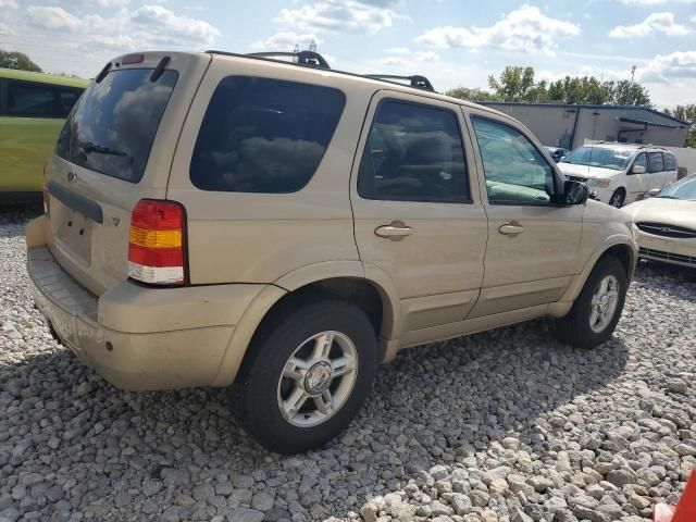 2007 Ford Escape Limited