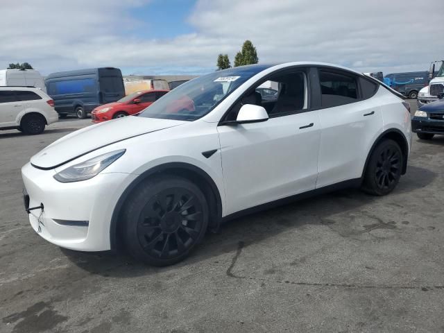 2020 Tesla Model Y