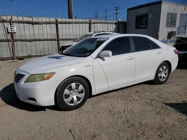 2008 Toyota Camry Hybrid