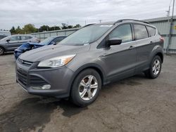 Salvage cars for sale at Pennsburg, PA auction: 2014 Ford Escape SE