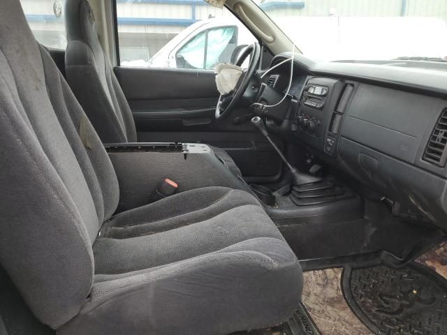 2004 Dodge Dakota SXT