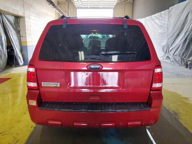 2011 Ford Escape XLT