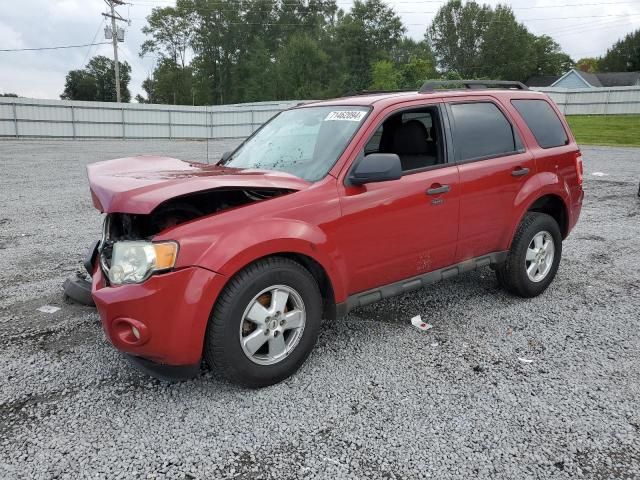 2010 Ford Escape XLT