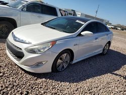 Salvage cars for sale at Phoenix, AZ auction: 2013 Hyundai Sonata Hybrid