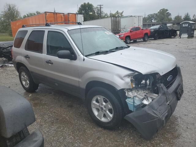 2007 Ford Escape XLT