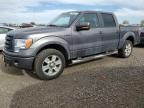 2009 Ford F150 Supercrew