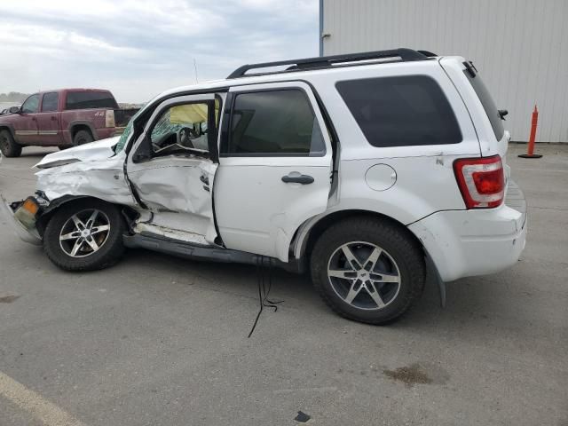 2008 Ford Escape XLT