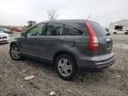 2011 Honda CR-V EXL