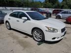 2014 Nissan Maxima S