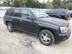 2008 Chevrolet Trailblazer LS